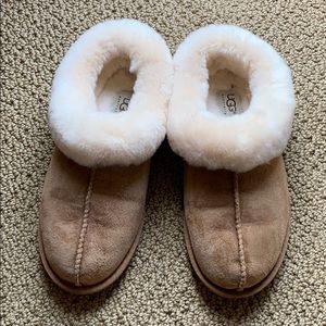 Ugg slippers